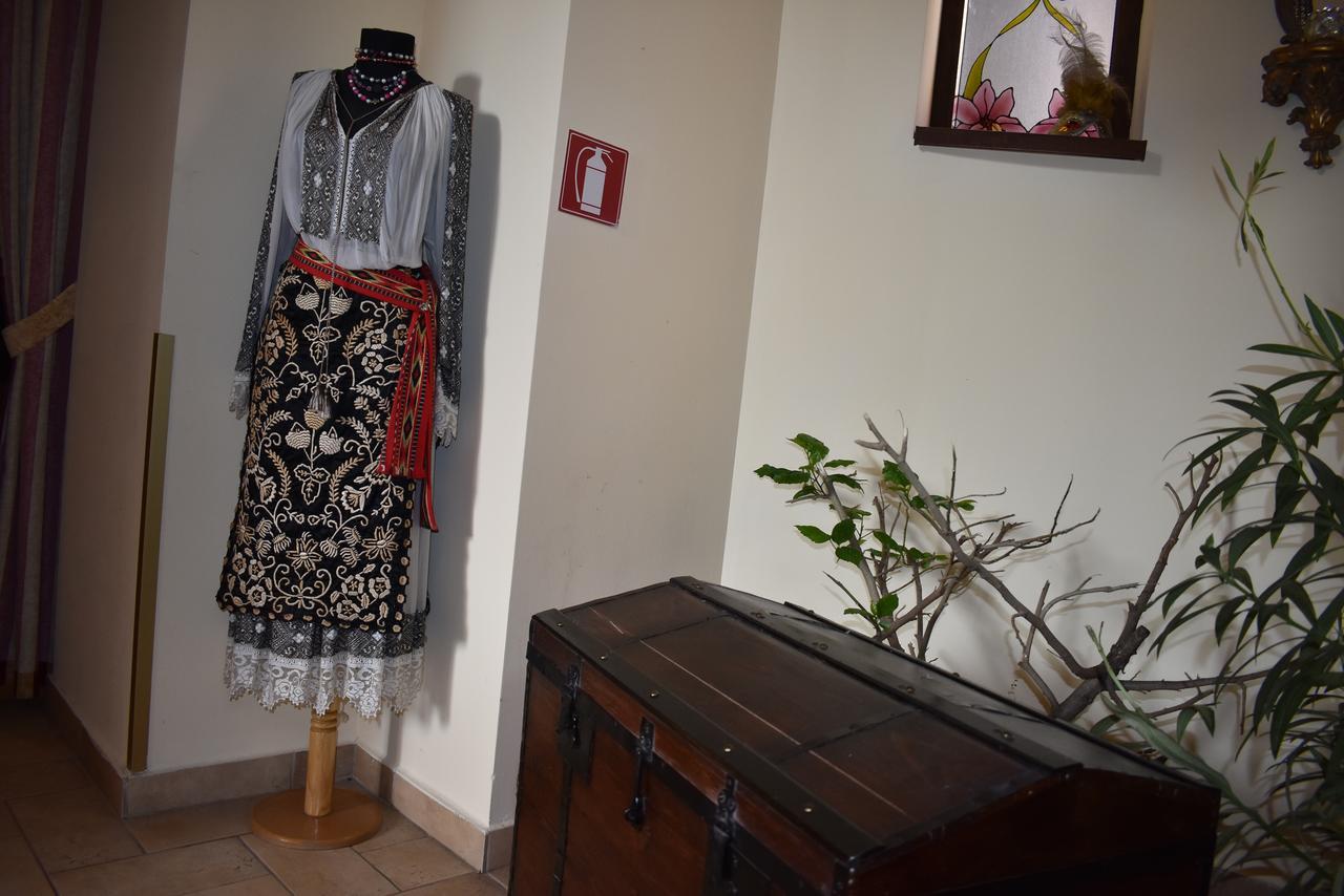 טימישוארה Park Villa - Boutique Hotel מראה חיצוני תמונה